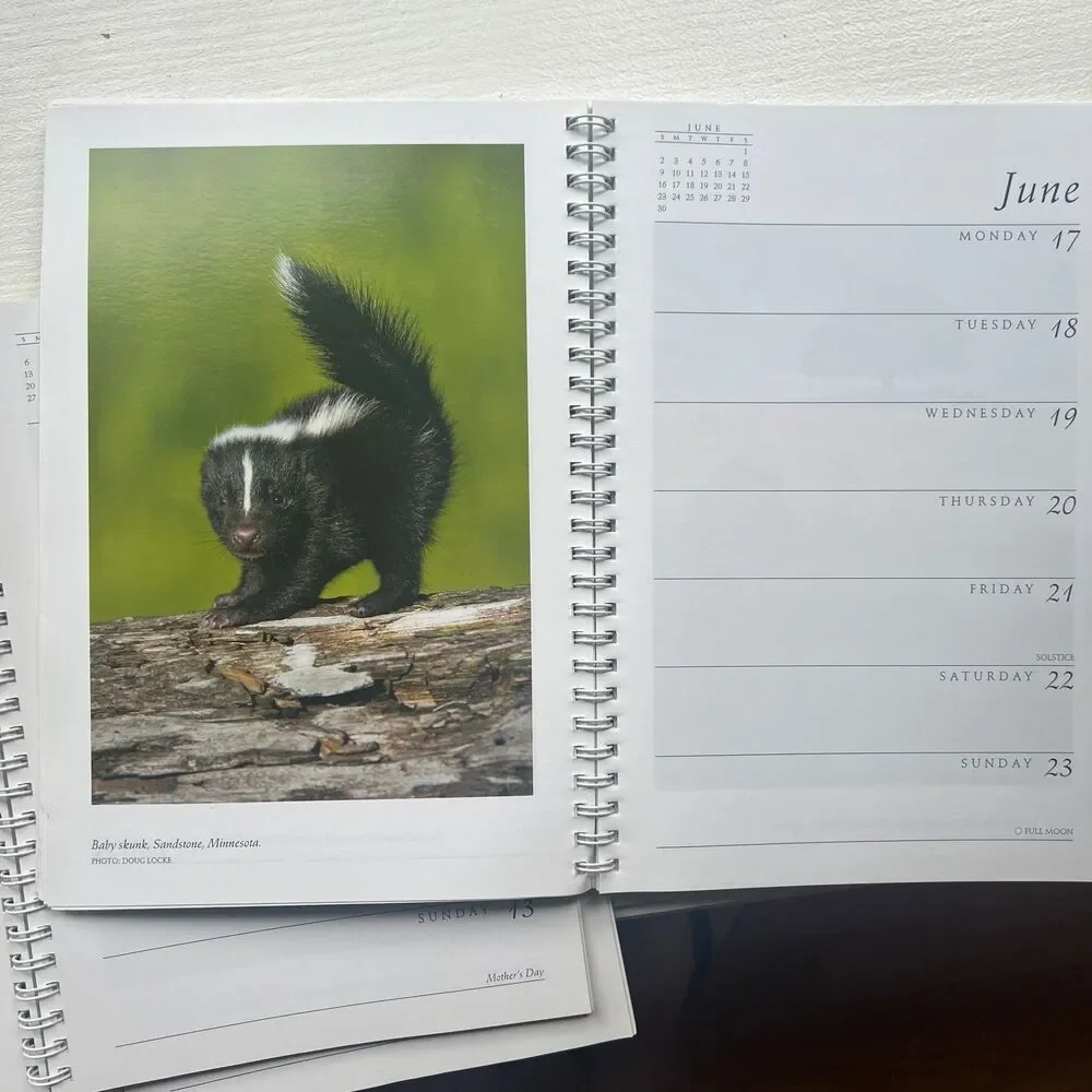 Lot of 3 Sierra Club Engagement Calendars 2013 2017 2018 Nature Photography